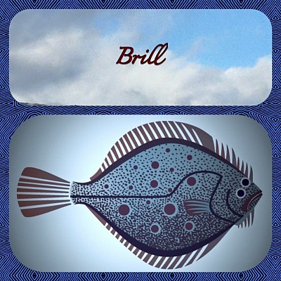 Brill_logo