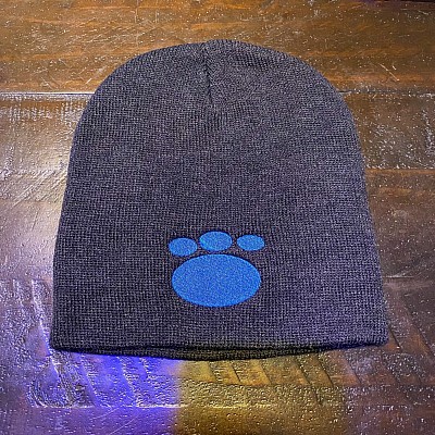 Flat Cat Records Beanie