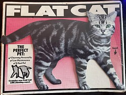 Flat Cat