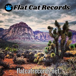 Flat Cat Records Desert Banner