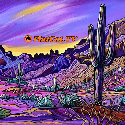 Flat Cat TV